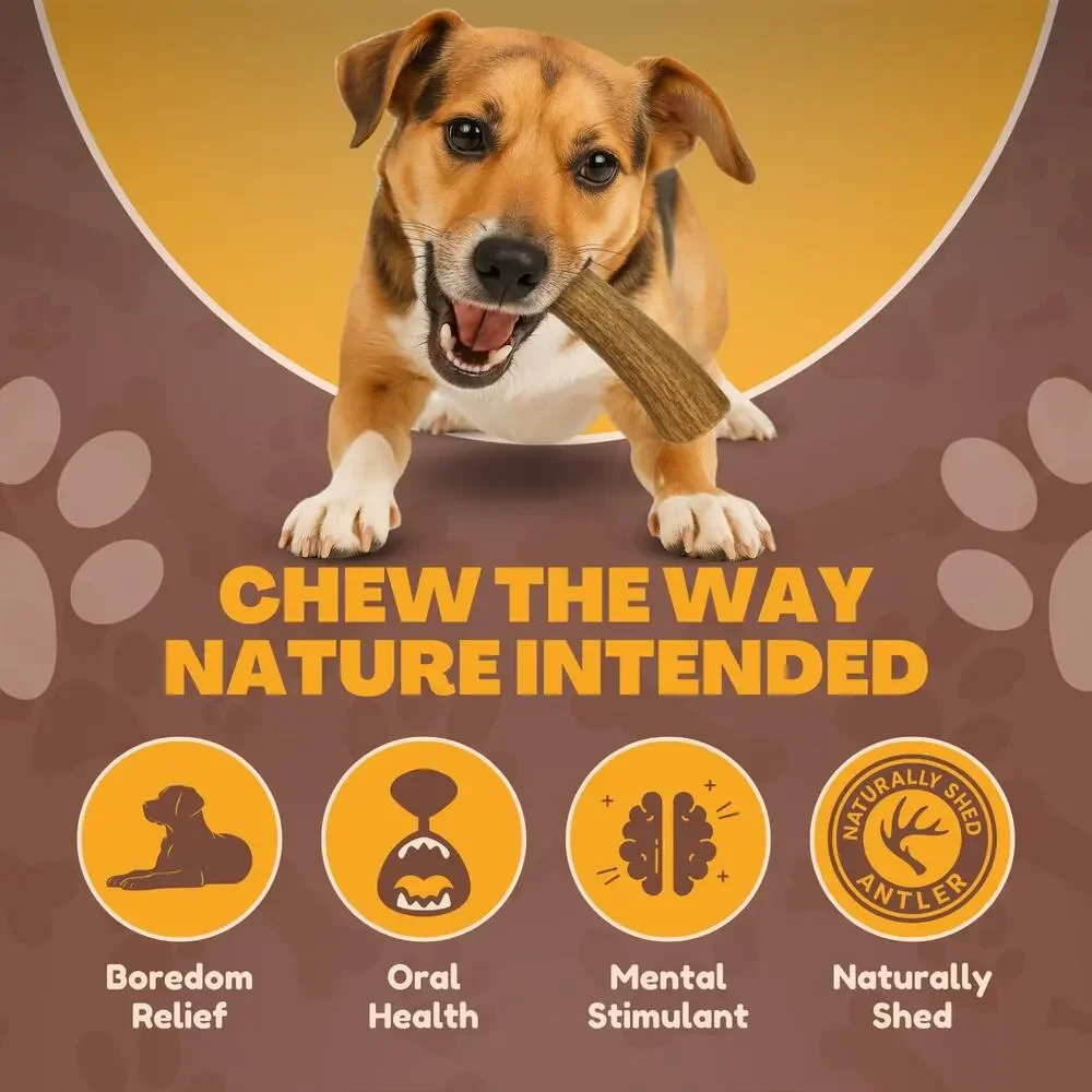 NWT WhiteTail Naturals - 3 Pack Medium Dog Chews - All Natural Antlers for Dogs